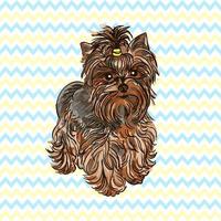 Illustration vectorielle coloré de la race de chien yorkshire terrier isolé sur fond blanc vecteur