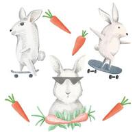 un ensemble de lapins à l'aquarelle patinent sur une planche à roulettes et mangent des carottes. vecteur