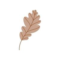 feuille de chêne isolé sur fond blanc. feuille de chêne brun tombée. illustration vectorielle plane. feuilles d'automne vecteur