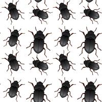 Seamless pattern de scarabée vecteur