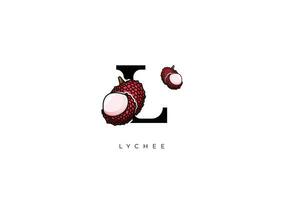 fruit vecteur - litchi