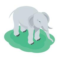 vérifier en dehors cette isométrique illustration de une zoo l'éléphant vecteur