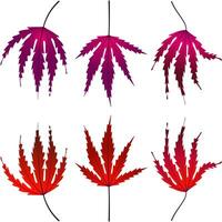 l'automne feuilles feuillage déchue graphique illustré couleurs violet rouge vecteur
