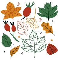 ensemble de plat isolé illustration de feuilles et baies dans confortable l'automne couleurs. coloré plat vecteur décor pour scrapbooking, textile ou livre couvertures, fonds d'écran, graphique art, impression, passe-temps, invitation