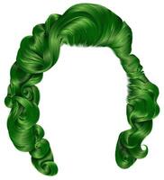 branché femme Cheveux vert couleurs . beauté mode . rétro style boucles . réaliste 3d . vecteur