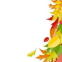 fond de feuilles naturelles d'automne brillant. illustration vectorielle vecteur