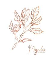 magnolia fleur ligne illustration ensemble. main tiré Rose or contour mariage herbe, élégant feuilles pour invitation enregistrer le Date carte. botanique branché verdure vecteur collection pour la toile, imprimer, affiches.