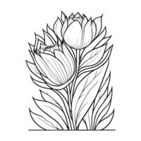 lotus contour vecteur