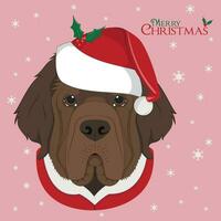 Noël salutation carte. Terre-Neuve chien avec rouge Père Noël chapeau vecteur