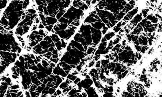 noir et blanc marbre texture vecteur