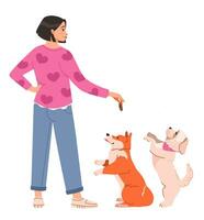 une femme donne une traiter à sa chiens. animal de compagnie propriétaire alimente sa animaux domestiques. plat vecteur illustration.
