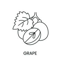 les raisins ligne icône dans vecteur, baie illustration vecteur