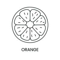 Orange ligne icône dans vecteur, agrumes fruit illustration vecteur