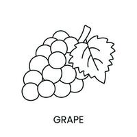 les raisins ligne icône dans vecteur, baie illustration vecteur