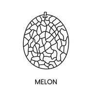 melon ligne icône dans vecteur, fruit illustration vecteur