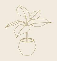 blanc Chevalier philodendron maison plante ligne art illustration. scandinave confortable Accueil décor silhouette symbole. plat vecteur dessin animé icône illustration de maison plante isolé.