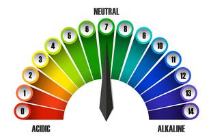 Une échelle de pH sur fond blanc vecteur