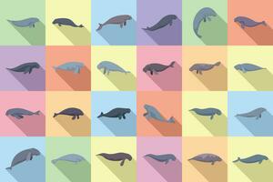 dugong Icônes ensemble plat vecteur. animal plongée vecteur