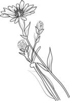 petit noir aster tatouage, aster fleur dessin, aster fleur dessin tatouage, dessin aster septembre fleur tatouage, aster septembre naissance fleur tatouage, petit Facile aster fleur tatouage vecteur