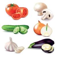 tranches de légumes réalistes mis en illustration vectorielle vecteur