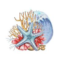 main tiré Marin composition avec bleu étoile de mer, coraux, aquarelle vecteur