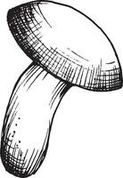 vecteur dessin de noir et blanc graphique champignon, main tiré forêt champignon