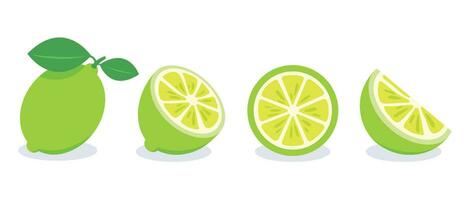 ensemble de vert citron vecteur illustration