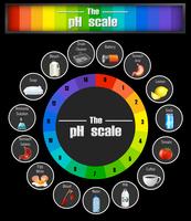 Modèle d&#39;échelle de pH Science vecteur