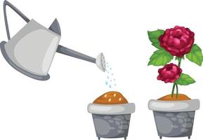 arrosoir avec rose mignon en illustration de pot vecteur