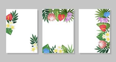 ensemble de tropical fleur compositions, arrière-plans, cadres, cartes postales. vecteur botanique illustration pour brochure, invitation ou prospectus.