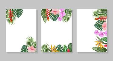 ensemble de tropical fleur compositions, arrière-plans, cadres, cartes postales. vecteur botanique illustration pour brochure, invitation ou prospectus.