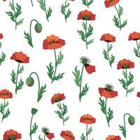 été sans couture modèle avec brillant rouge coquelicot fleurs et coquelicot gousses. champ, Prairie de coquelicots vecteur