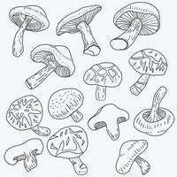 doodle croquis à main levée dessin de légume champignon shitake. vecteur