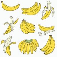 doodle croquis à main levée dessin de banane. vecteur