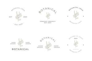 pack de logo minimal floral botanique de style rétro vintage vecteur