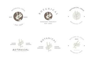 pack de logo minimal floral botanique de style rétro vintage vecteur