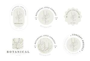 pack de logos de style rétro miniaml botanique floral dessiné à la main vecteur