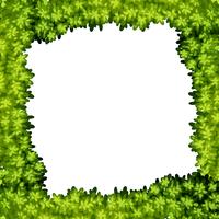 Un cadre de feuille verte vecteur