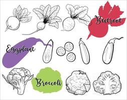 les dessins au trait de légumes biologiques sont des aliments sains. vecteur
