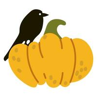 content Halloween. une noir corbeau est assis sur une Jaune citrouille et et regards. isolé illustration sur une blanc Contexte pour vacances cartes, Mots clés, autocollants. mignonne isolé plat illustration vecteur