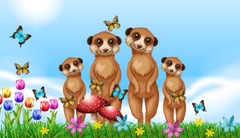 Quatre suricates dans le jardin vecteur