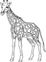 réaliste girafe vecteur illustration