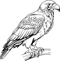 réaliste Aigle vecteur illustration