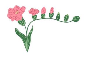 fleur de freesia dessinée à la main. illustration plate. vecteur