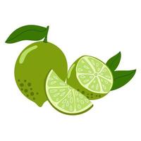 citron vert agrumes. moitié, tranche. illustration plate. vecteur