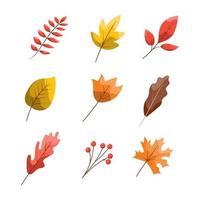 collection de feuilles d'automne