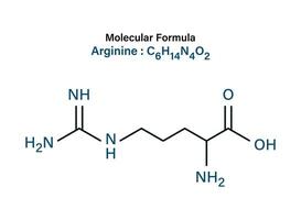 chimique formule de arginine aminé acide dans soin de la peau molécule squelettique vecteur illustration.