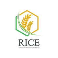 riz ou blé grain agriculture logo conception pour votre affaires et produit des noms ou pour tout votre des idées vecteur