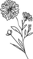 minimaliste aster fleur tatouage, noir aster tatouage, petit noir aster tatouage, aster fleur dessin, aster fleur dessin tatouage, aster fleur mur décor vecteur