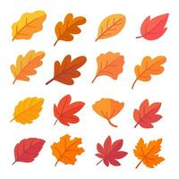 l'automne feuille collection Orange érable feuilles dans l'automne Facile conception vecteur